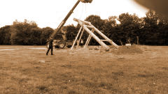 »Tori«