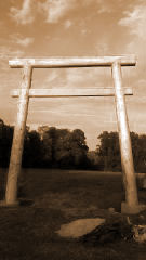 »Tori«