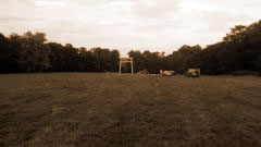 »Tori«